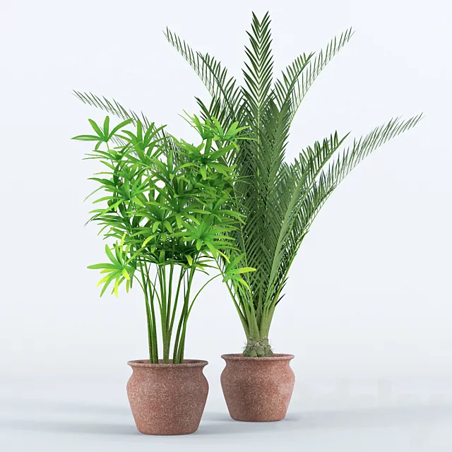 Plants – Flowers – 3D Models Download – 0525
