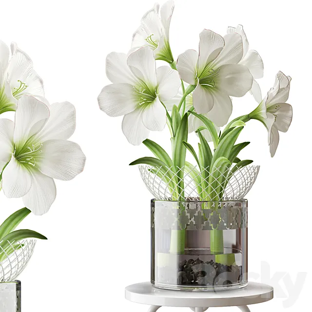 Plants – Flowers – 3D Models Download – 0531