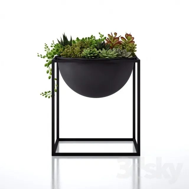 Plants – Flowers – 3D Models Download – 0535