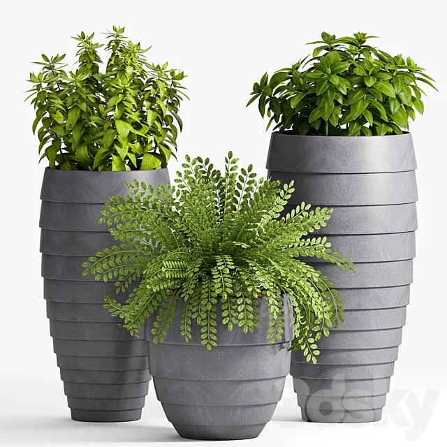 Plants – Flowers – 3D Models Download – 0547