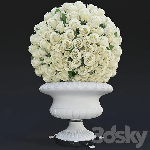 Plants – Flowers – 3D Models Download – 0556