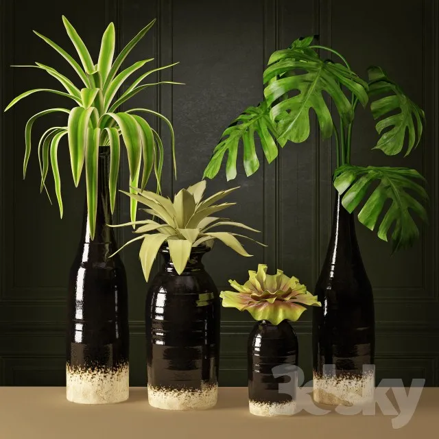 Plants – Flowers – 3D Models Download – 0558