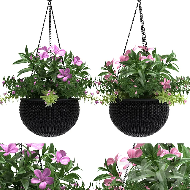 Plants – Flowers – 3D Models Download – 0561
