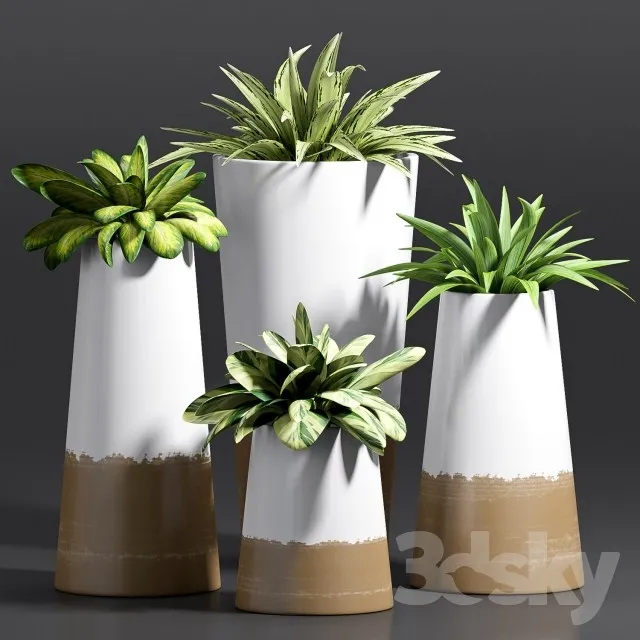 Plants – Flowers – 3D Models Download – 0562