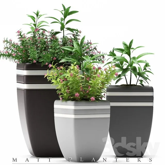 Plants – Flowers – 3D Models Download – 0574