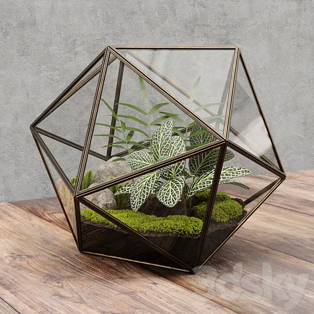 Plants – Flowers – 3D Models Download – 0579