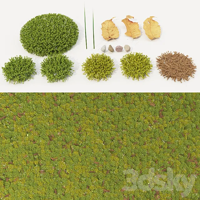 moss_collection 3DS Max - thumbnail 3