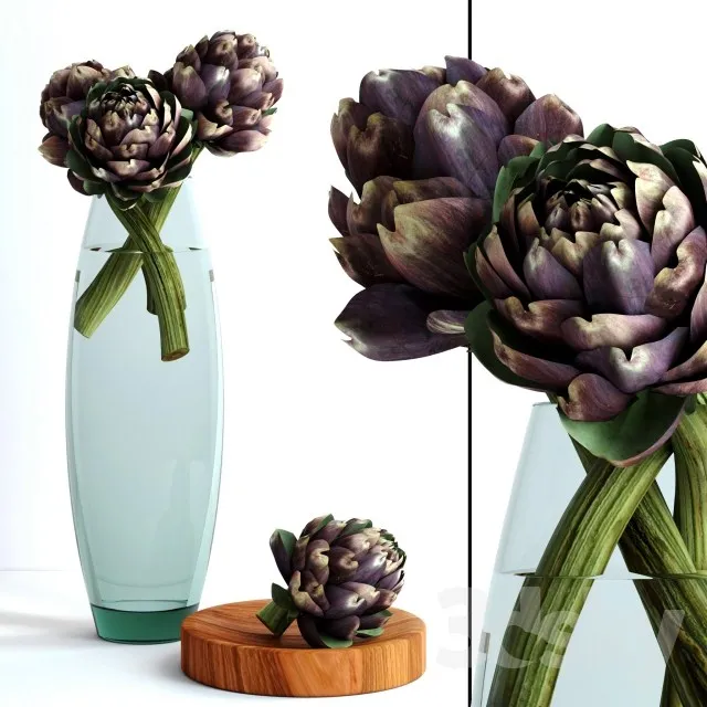 Plants – Flowers – 3D Models Download – 0590