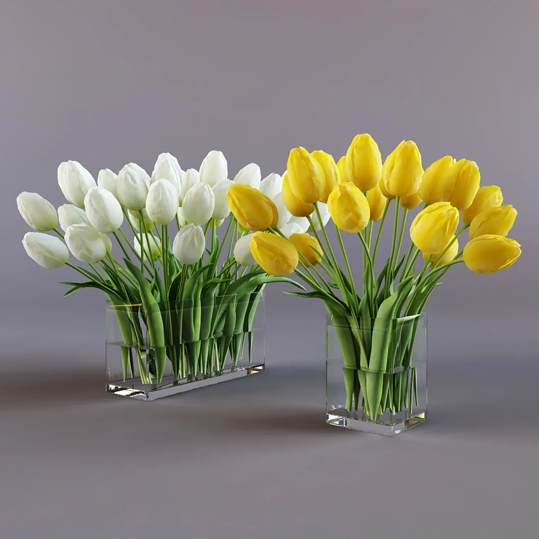 Plants – Flowers – 3D Models Download – 0603