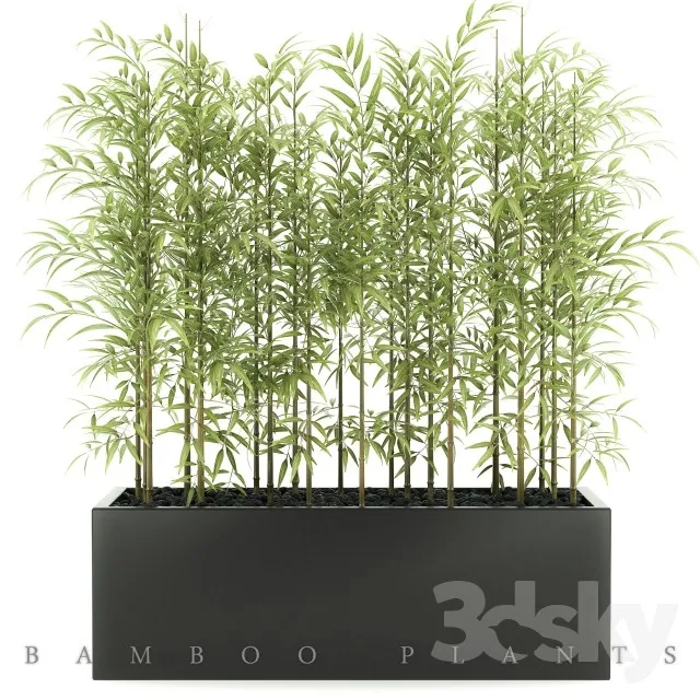 Plants – Flowers – 3D Models Download – 0606