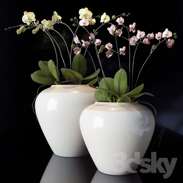 Plants – Flowers – 3D Models Download – 0611