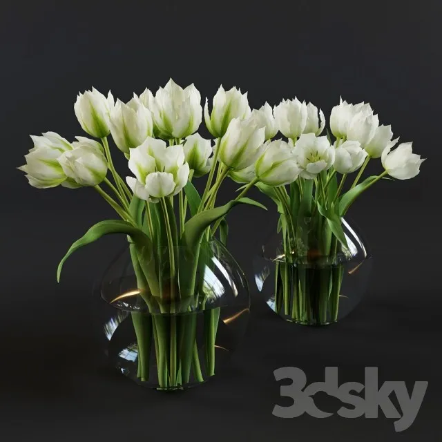 Plants – Flowers – 3D Models Download – 0613