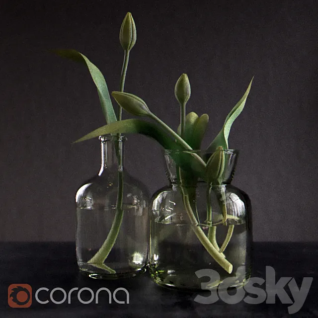 Plants – Flowers – 3D Models Download – 0620