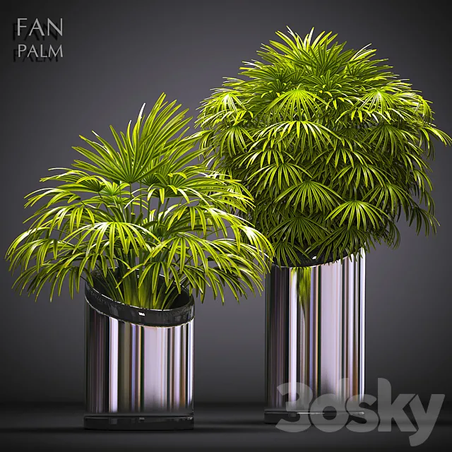 Plants – Flowers – 3D Models Download – 0627