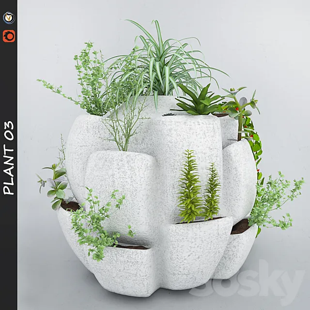 Plants – Flowers – 3D Models Download – 0637