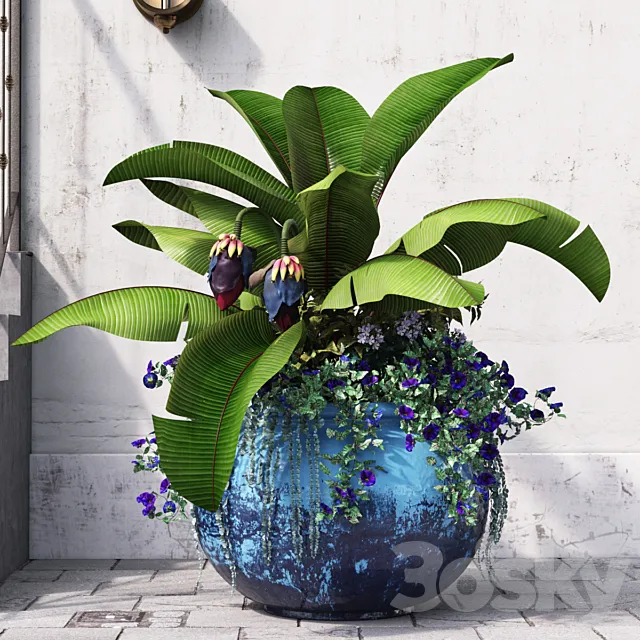 Plants – Flowers – 3D Models Download – 0648