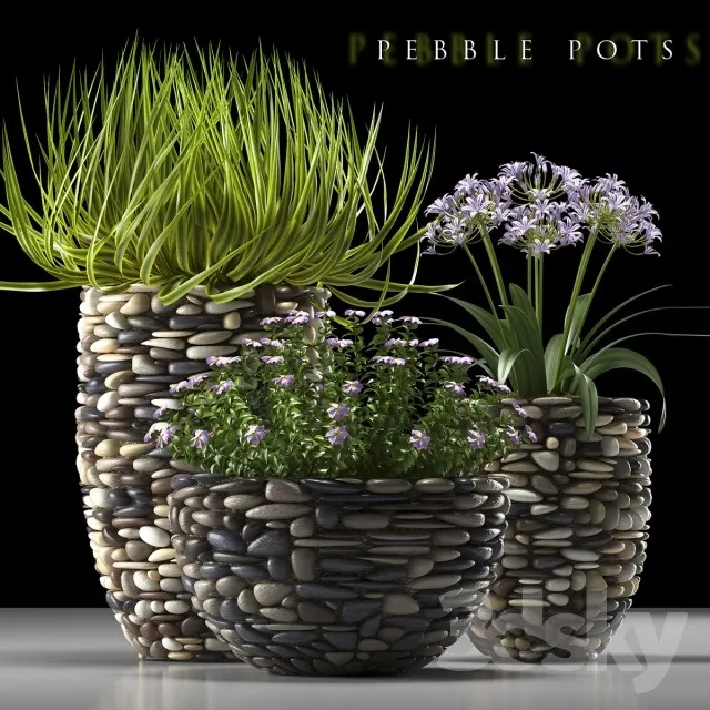 Plants – Flowers – 3D Models Download – 0652