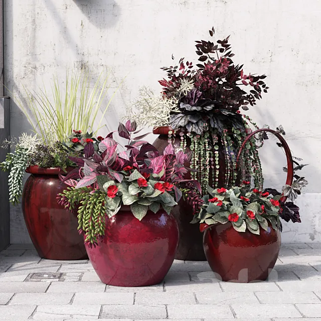 Plants – Flowers – 3D Models Download – 0653