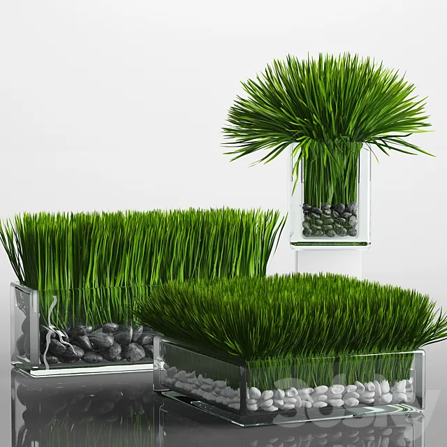 Plants – Flowers – 3D Models Download – 0656