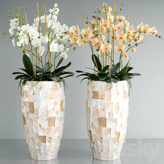Plants – Flowers – 3D Models Download – 0660