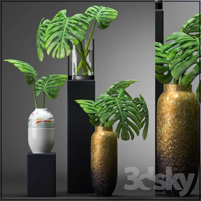 Plants – Flowers – 3D Models Download – 0666