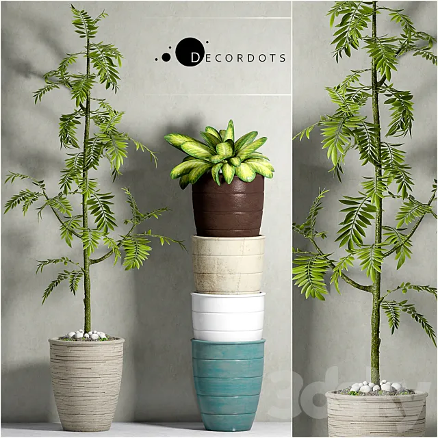 Plants – Flowers – 3D Models Download – 0668