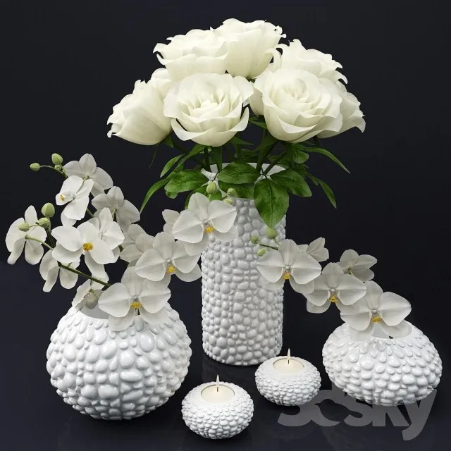 Plants – Flowers – 3D Models Download – 0669