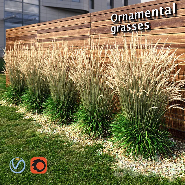 Ornamental grass dry 3DS Max - thumbnail 3