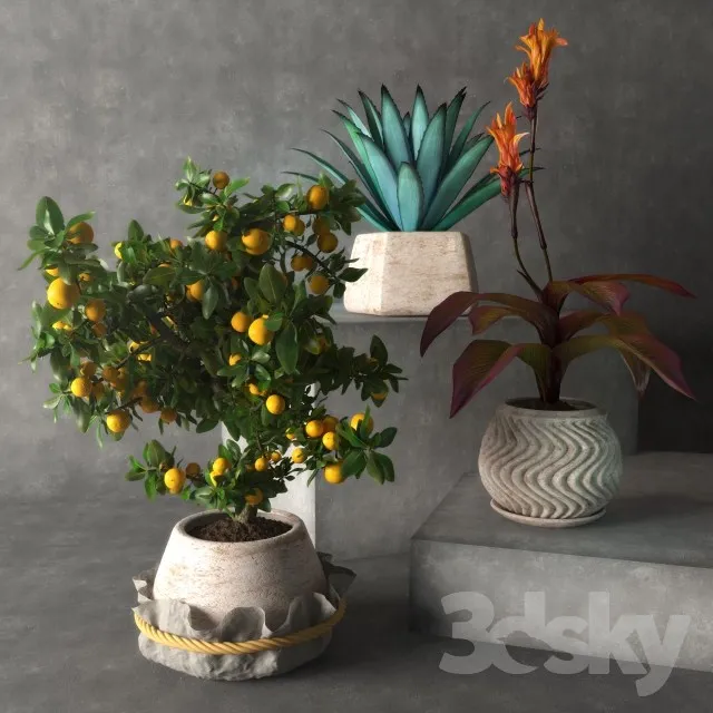 Plants – Flowers – 3D Models Download – 0680