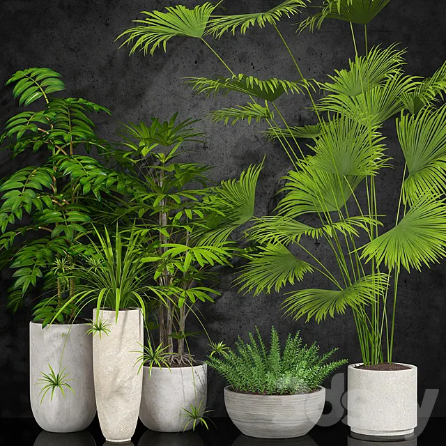 Plants – Flowers – 3D Models Download – 0686
