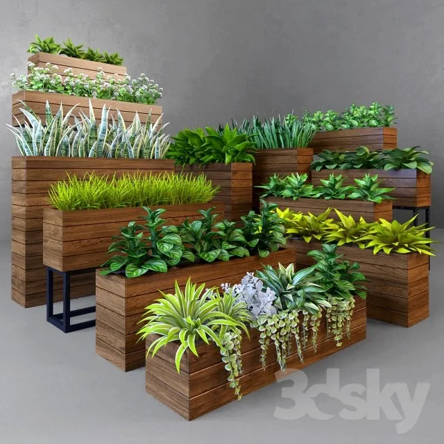 Plants – Flowers – 3D Models Download – 0687