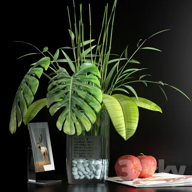 Plants – Flowers – 3D Models Download – 0688