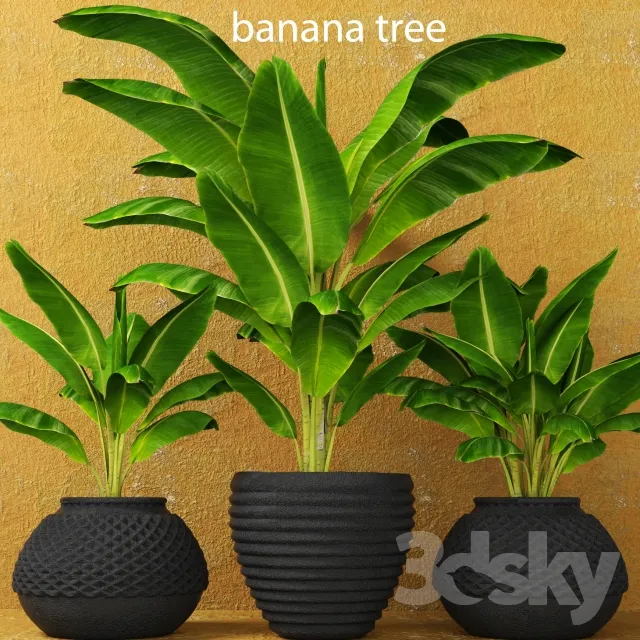 Plants – Flowers – 3D Models Download – 0705