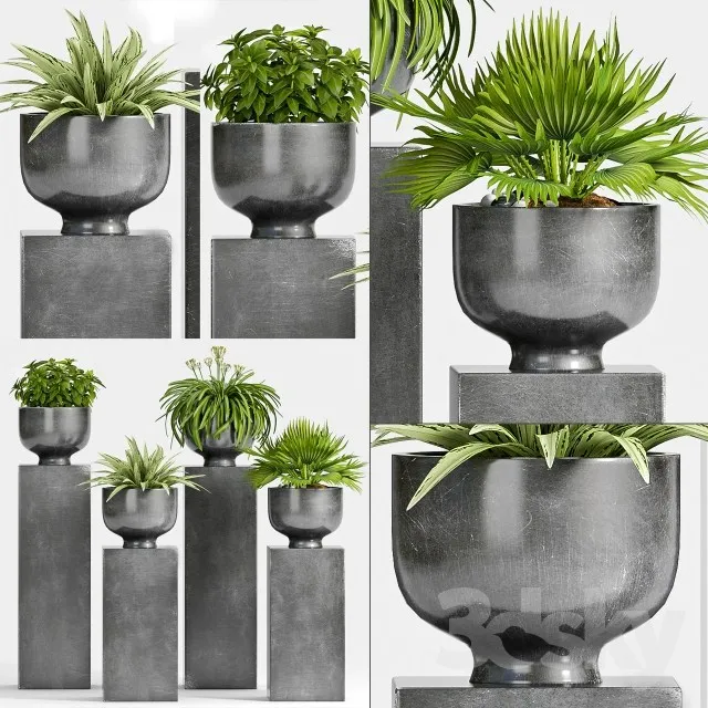 Plants – Flowers – 3D Models Download – 0706