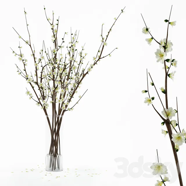 Plants – Flowers – 3D Models Download – 0714