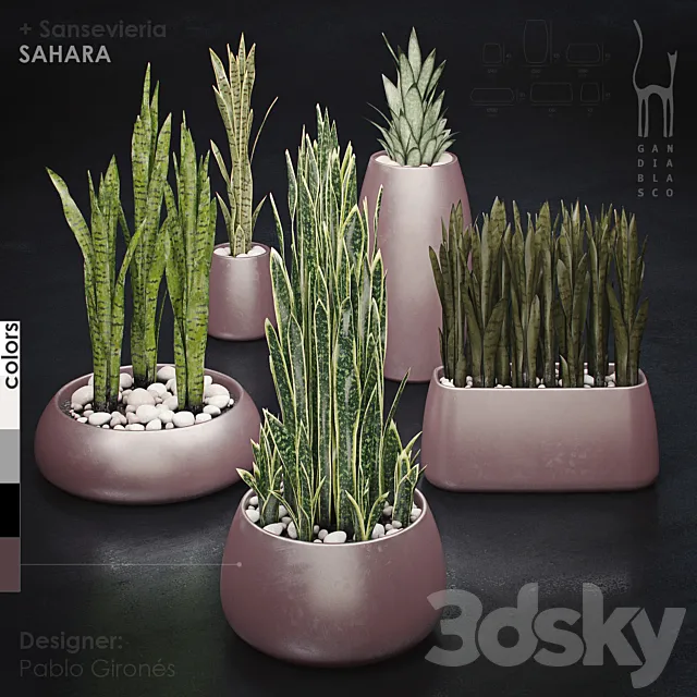 Plants – Flowers – 3D Models Download – 0719