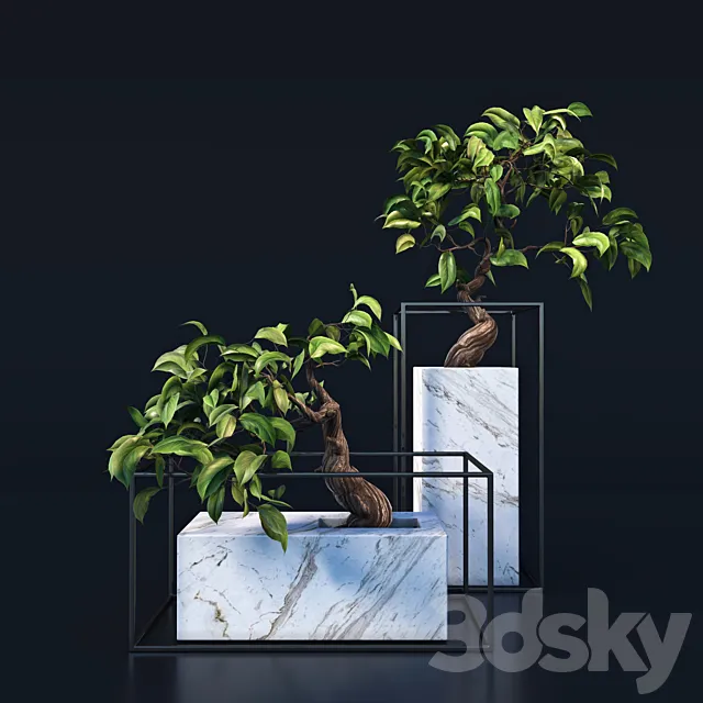Plants – Flowers – 3D Models Download – 0720
