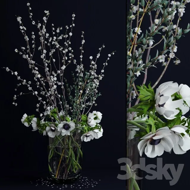 Plants – Flowers – 3D Models Download – 0729