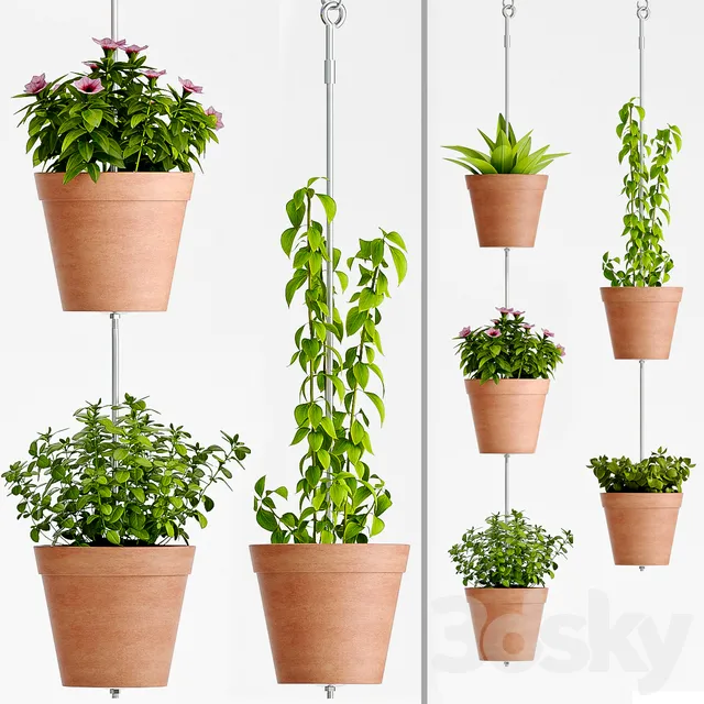 Plants – Flowers – 3D Models Download – 0734