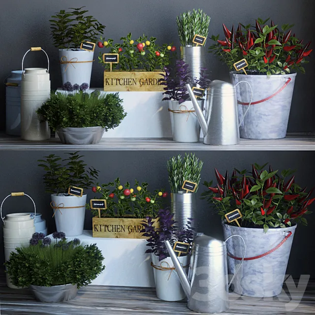 Plants – Flowers – 3D Models Download – 0737
