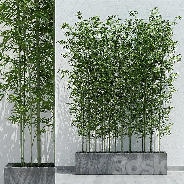 Plants – Flowers – 3D Models Download – 0738