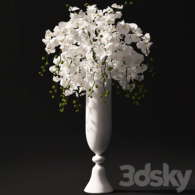 Plants – Flowers – 3D Models Download – 0752