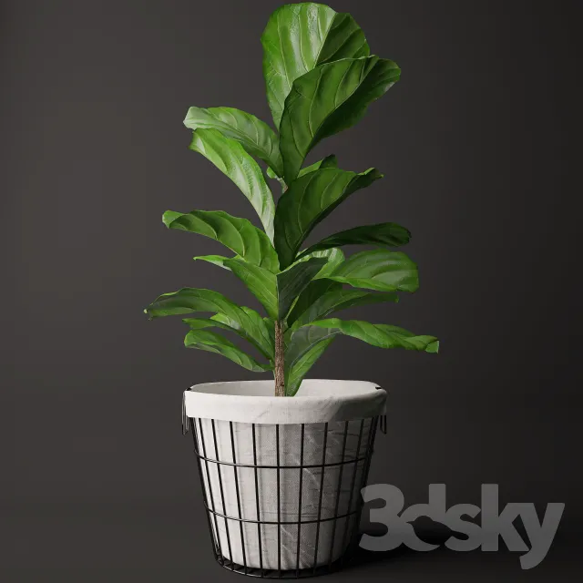 Plants – Flowers – 3D Models Download – 0762