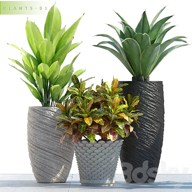 Plants – Flowers – 3D Models Download – 0771