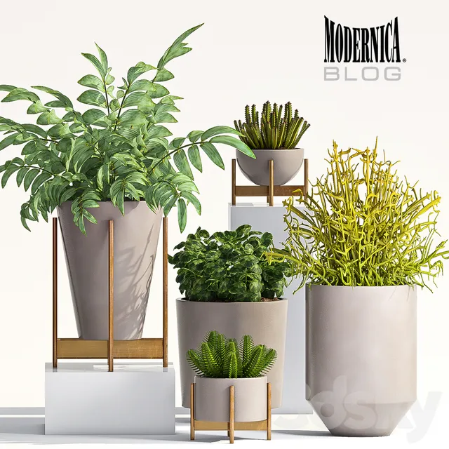 Plants – Flowers – 3D Models Download – 0777
