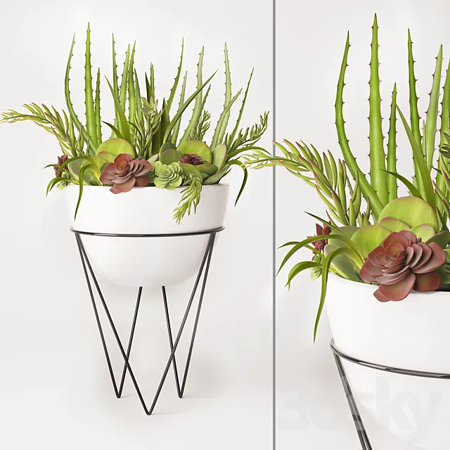 Plants – Flowers – 3D Models Download – 0786