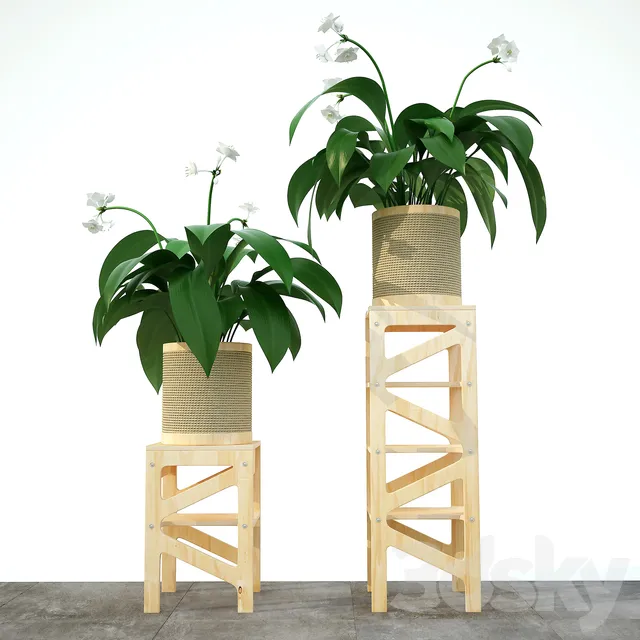 Plants – Flowers – 3D Models Download – 0796