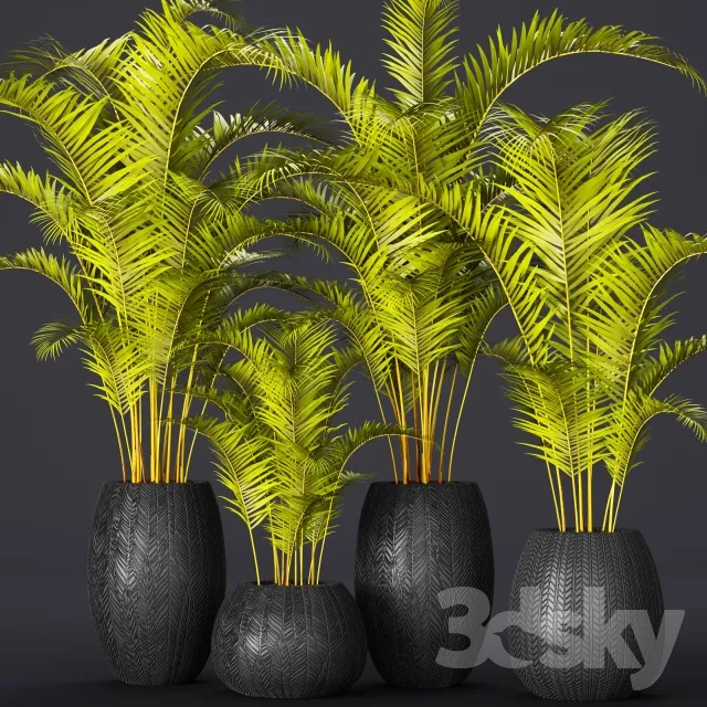 Plants – Flowers – 3D Models Download – 0806