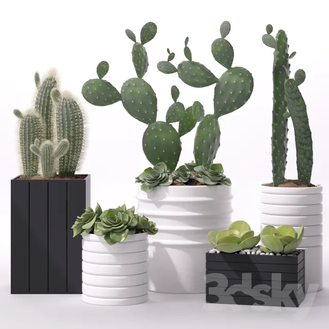 Plants – Flowers – 3D Models Download – 0809