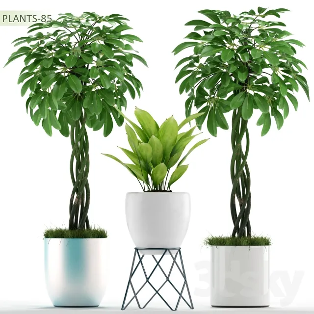 Plants – Flowers – 3D Models Download – 0815